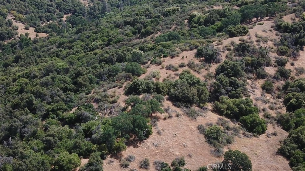 8 Acres Property Photo 1