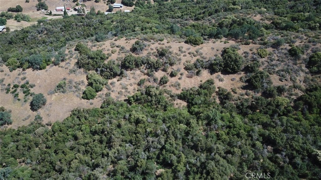 8 Acres Property Photo 2
