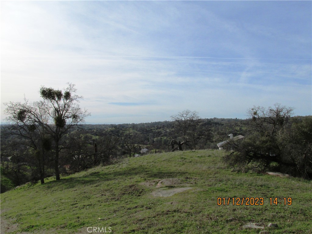 39854 Lilley Mountain Drive Property Photo 33