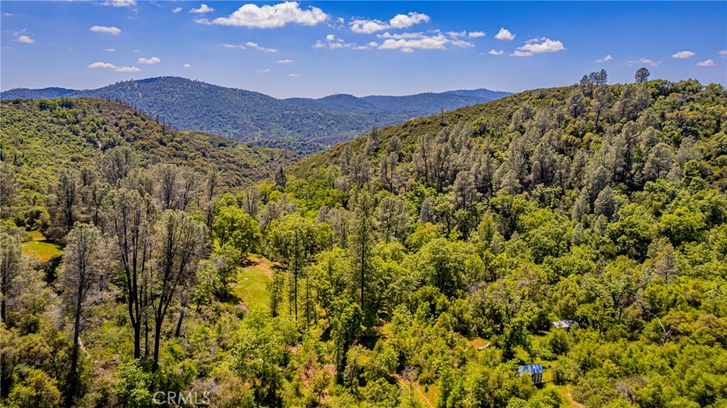 4743 Buffalo Gulch Road Property Photo