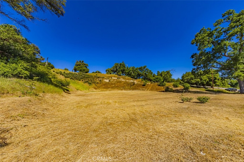 42514 Highway 49 Property Photo 1