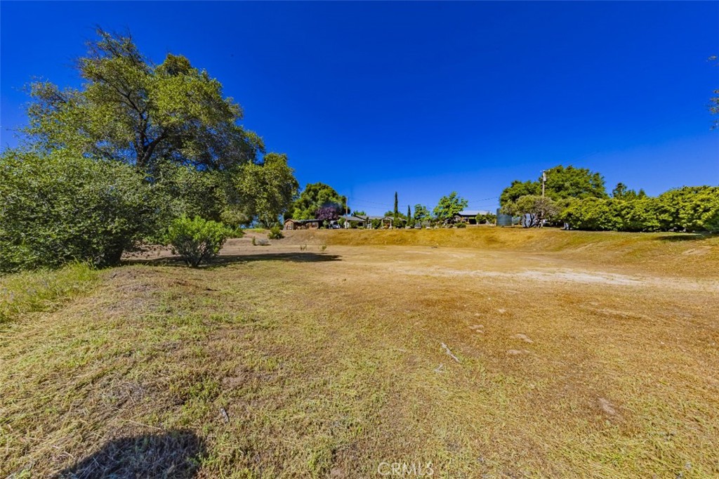 42514 Highway 49 Property Photo 5