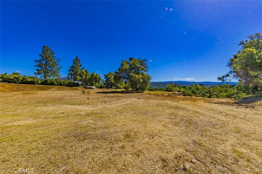 42514 Highway 49 Property Photo 7