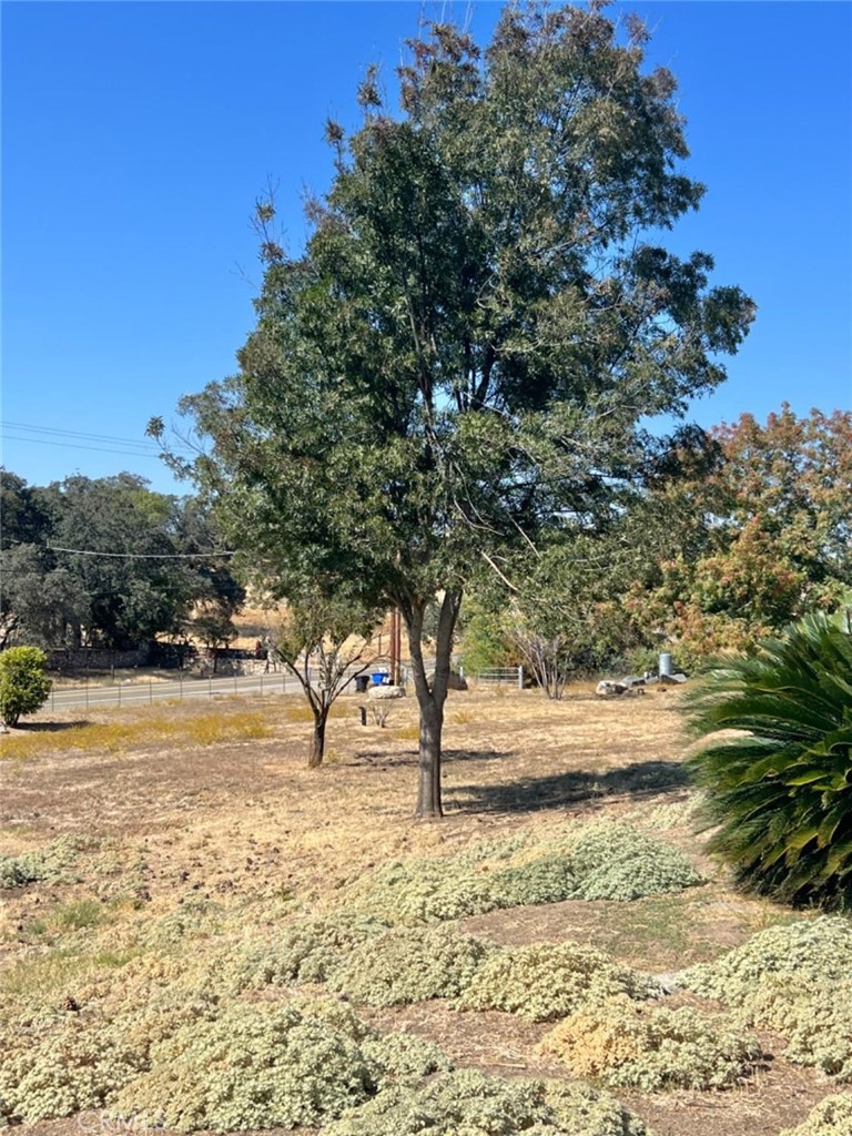 33188 George Smith Road Property Photo 41