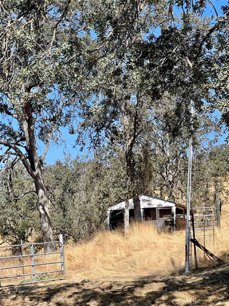 33188 George Smith Road Property Photo 42