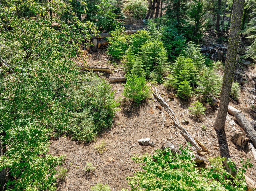 7419 Henness Ridge Road Property Photo 6