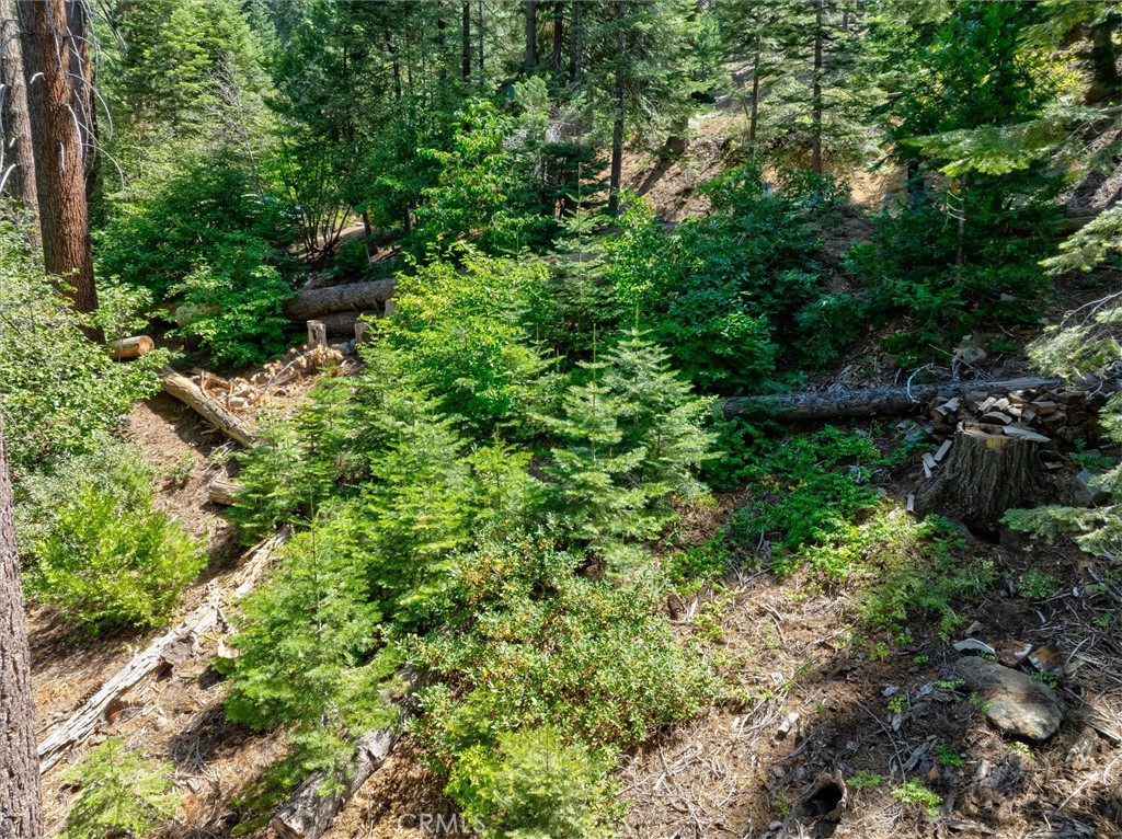 7419 Henness Ridge Road Property Photo 7