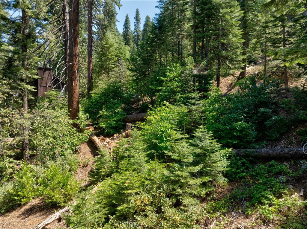 7419 Henness Ridge Road Property Photo 8