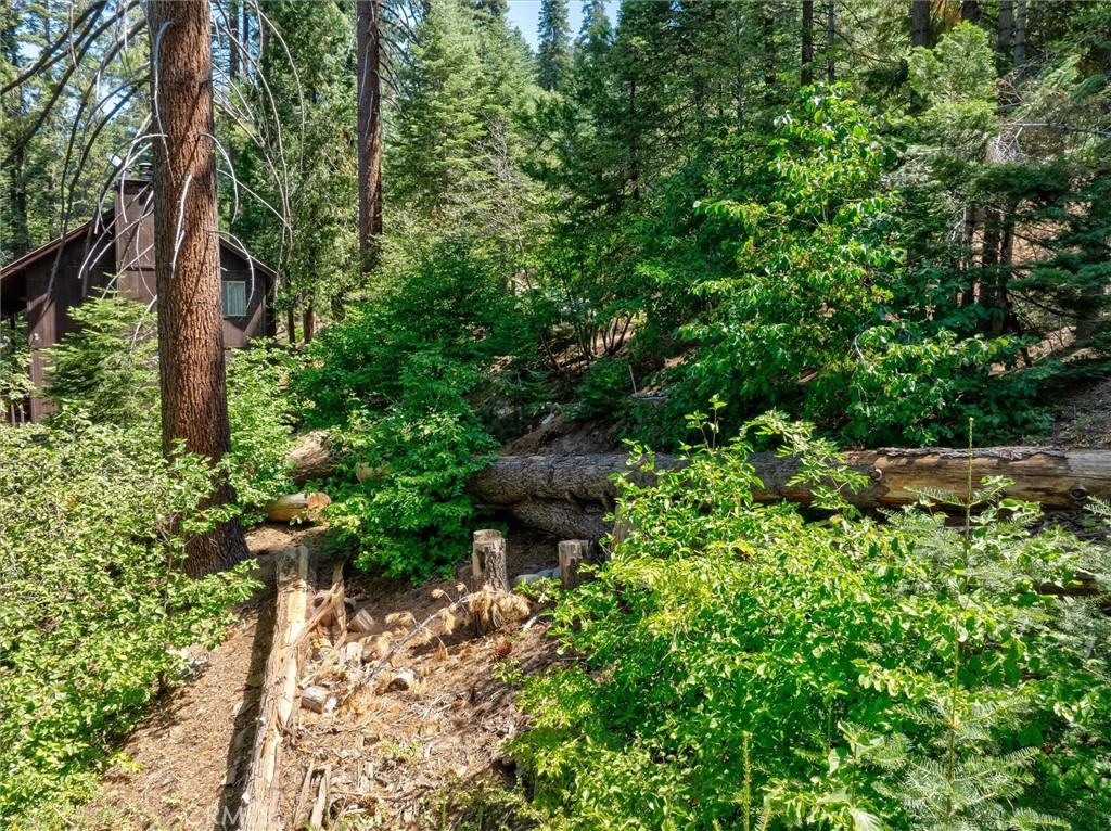 7419 Henness Ridge Road Property Photo 9