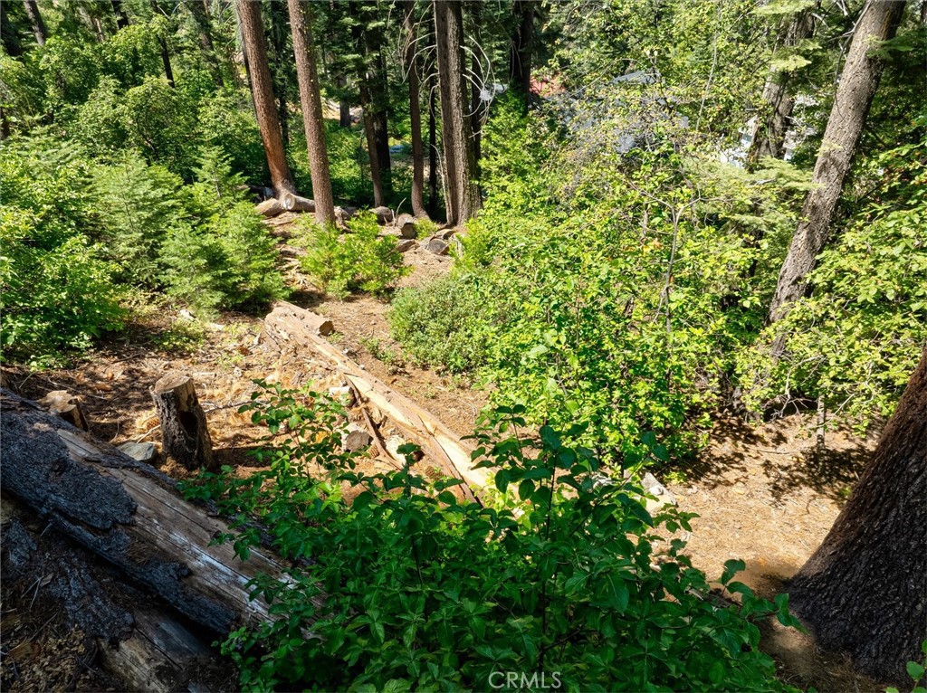 7419 Henness Ridge Road Property Photo 12