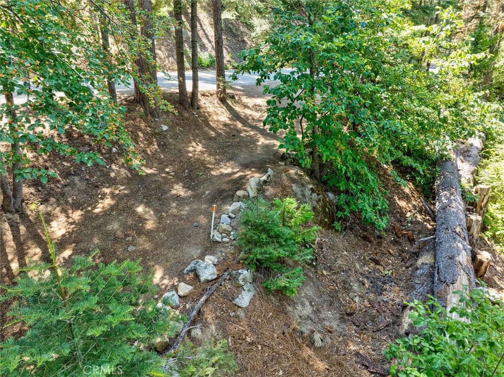 7419 Henness Ridge Road Property Photo 13