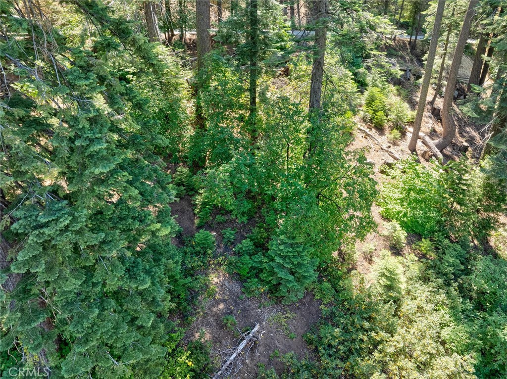 7419 Henness Ridge Road Property Photo 14