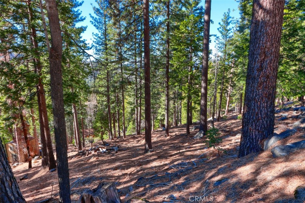 7349 & 7473 Yosemite Park Way Property Photo 1
