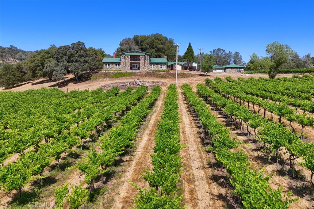 7551 Hunters Valley Road Property Photo 3