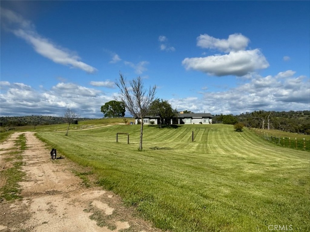 35095 Rough Rider Way Property Photo 23