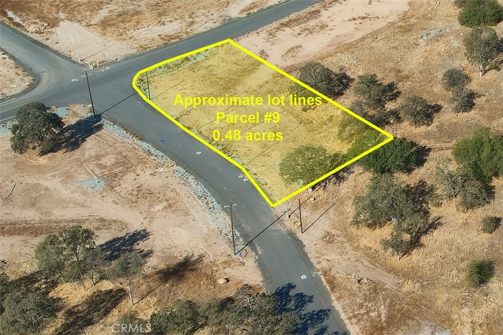 0.48 Ac Sunflower Lane Property Photo 5