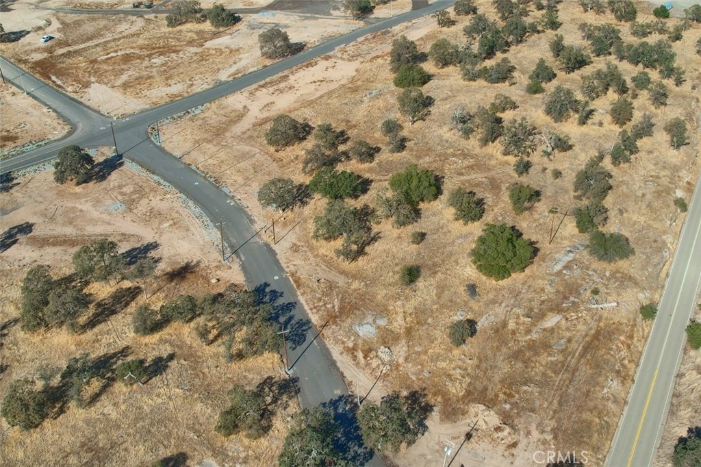 0.48 Ac Sunflower Lane Property Photo 7
