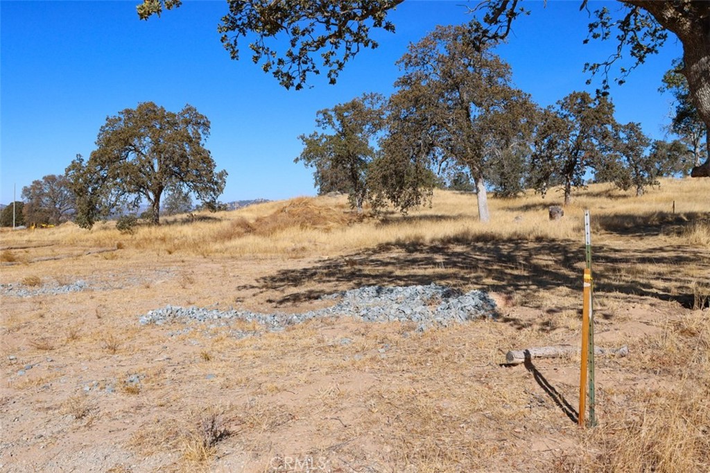 0.48 Ac Sunflower Lane Property Photo 8