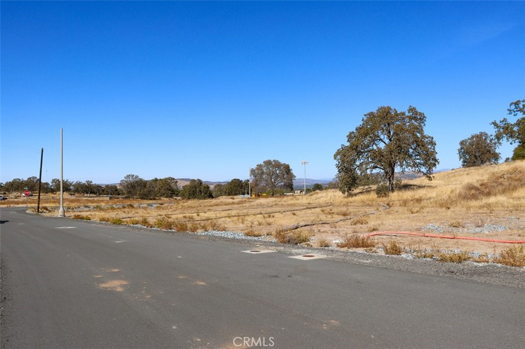 0.48 Ac Sunflower Lane Property Photo 10