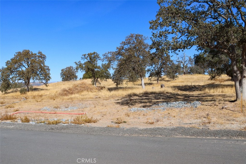 0.48 Ac Sunflower Lane Property Photo 11