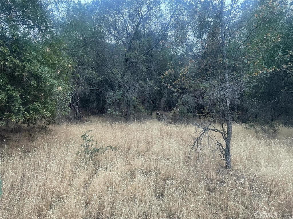43020 Apache Ranch Road Property Photo 1