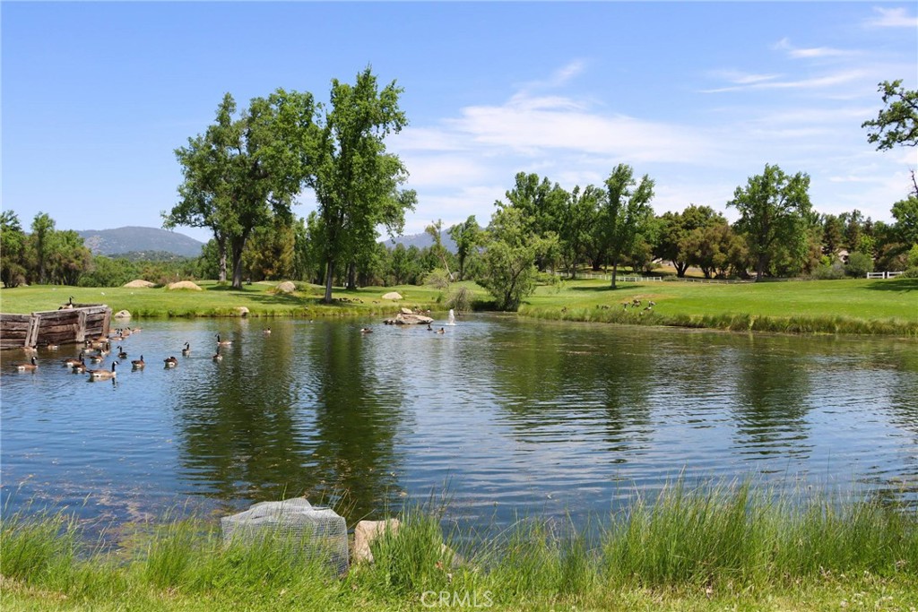 41345 Singing Hills Circle Property Photo 67