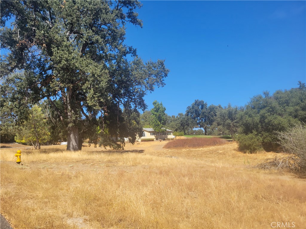 1 Acre Griffin Drive Property Photo 1