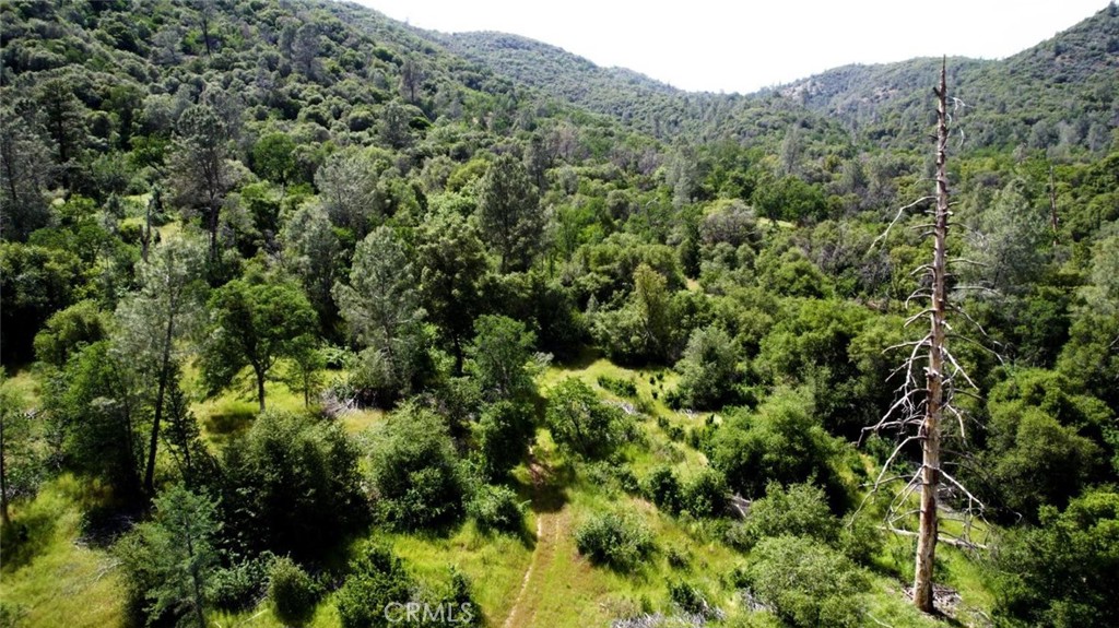 2 Road 200 Property Photo 1
