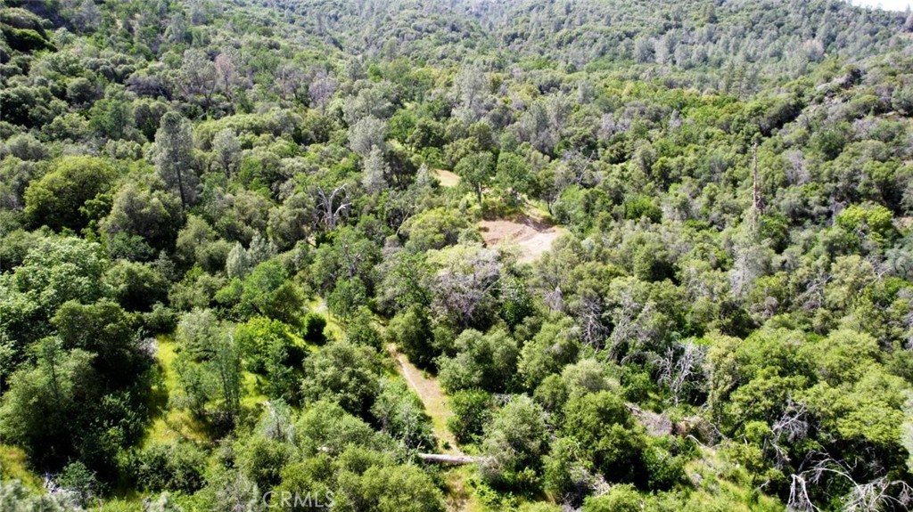2 Road 200 Property Photo 2