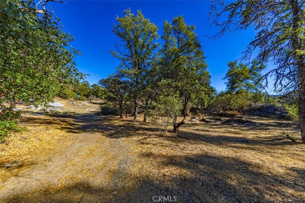 4200 Silver Lane Road Property Photo 1