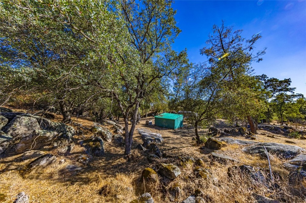 4200 Silver Lane Road Property Photo 4