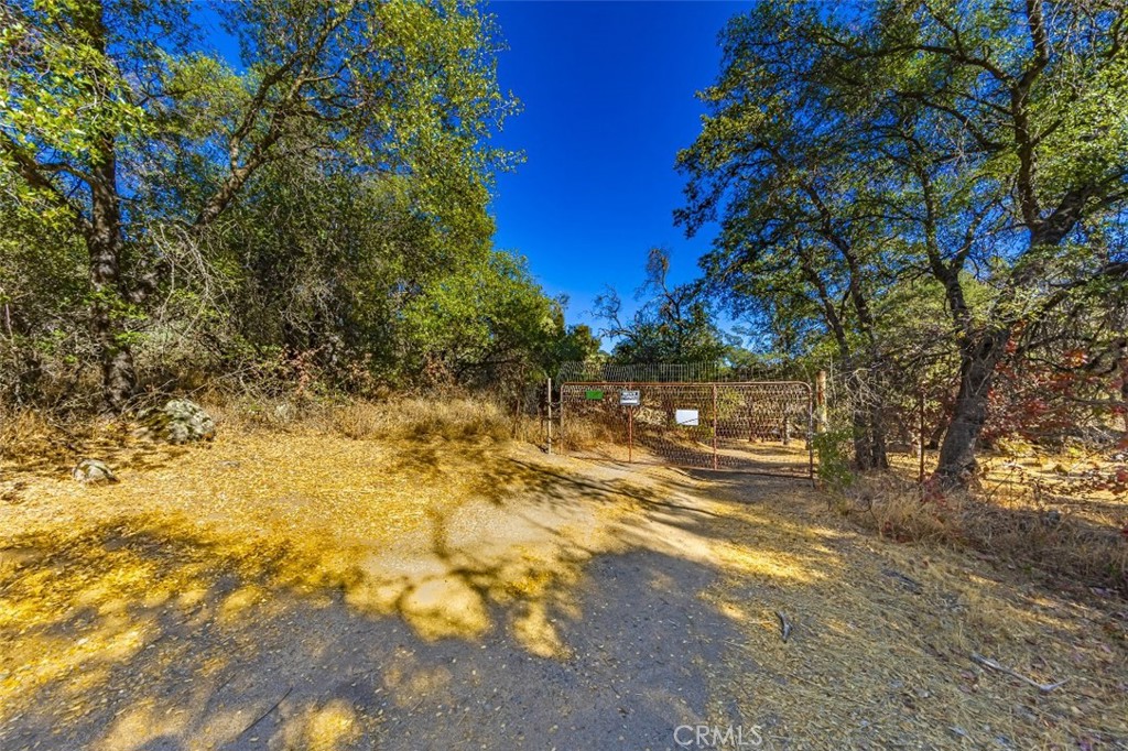 4200 Silver Lane Road Property Photo 9