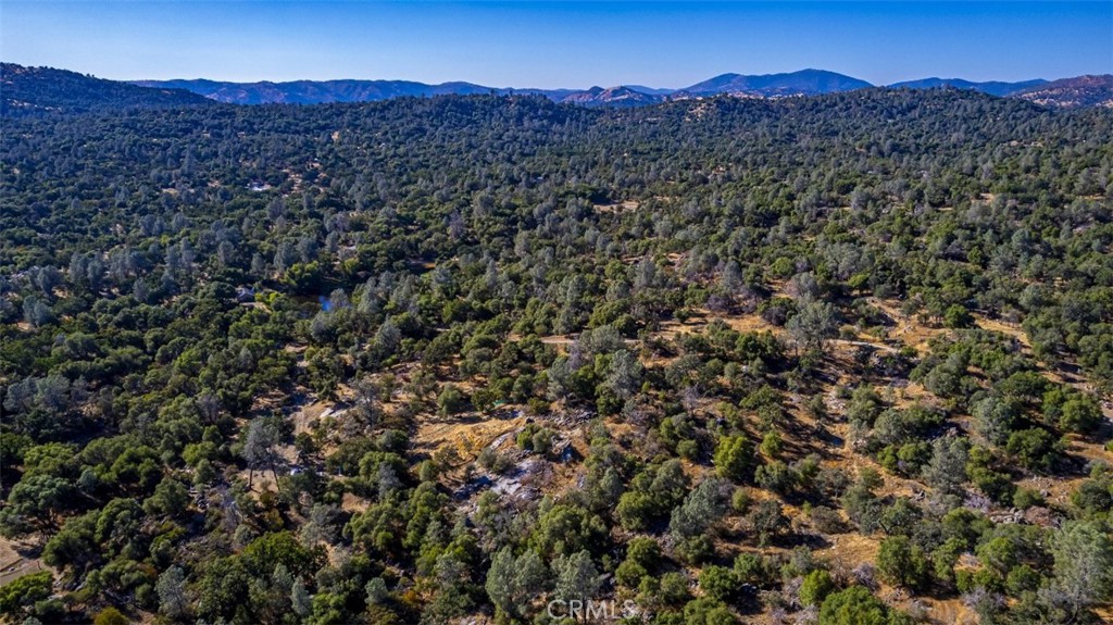 4200 Silver Lane Road Property Photo 14