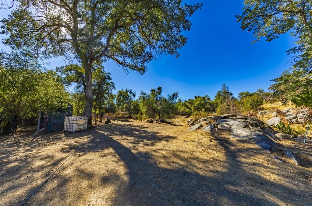 4200 Silver Lane Road Property Photo 15