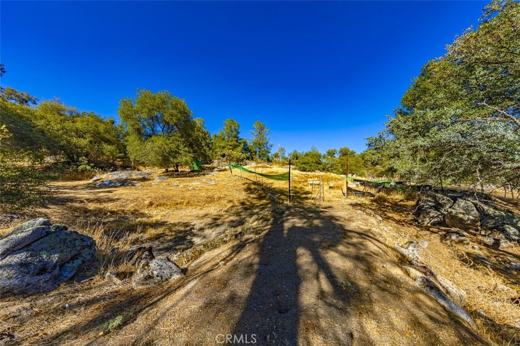 4200 Silver Lane Road Property Photo 16