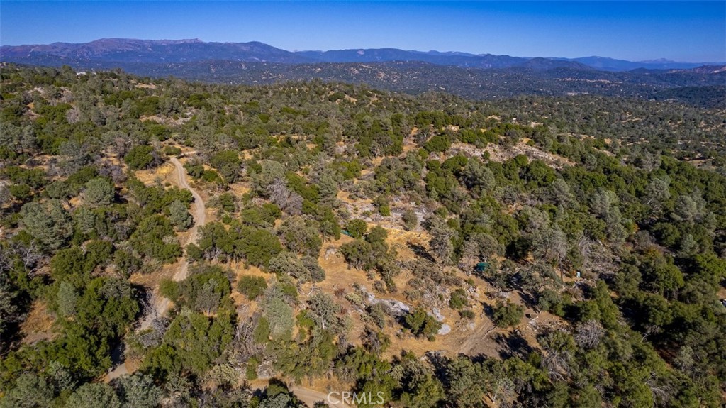 4200 Silver Lane Road Property Photo 25