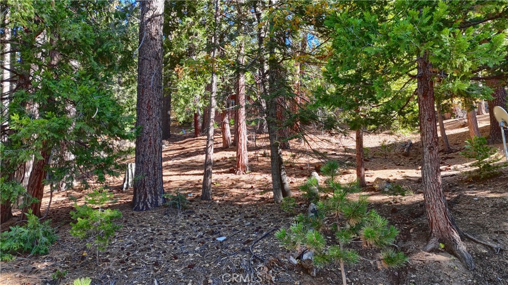 7232 Yosemite Park