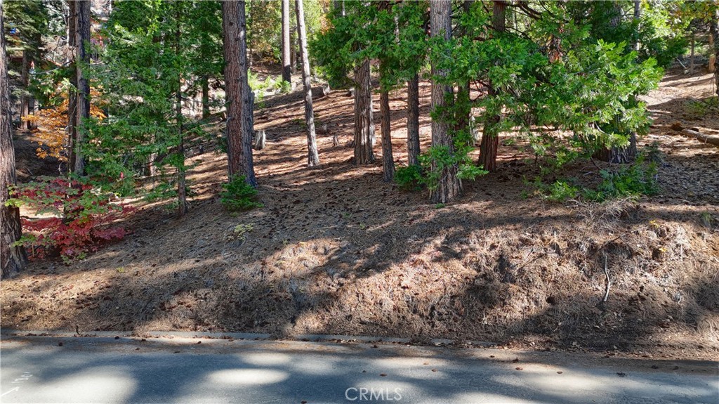 7232 Yosemite Park Property Photo 4
