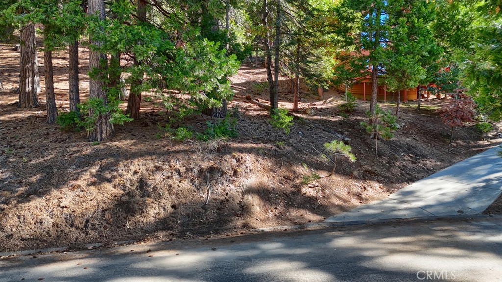 7232 Yosemite Park Property Photo 5