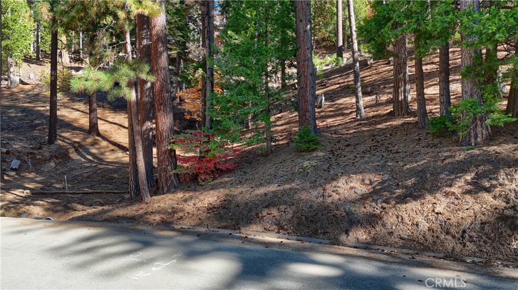 7232 Yosemite Park Property Photo 6