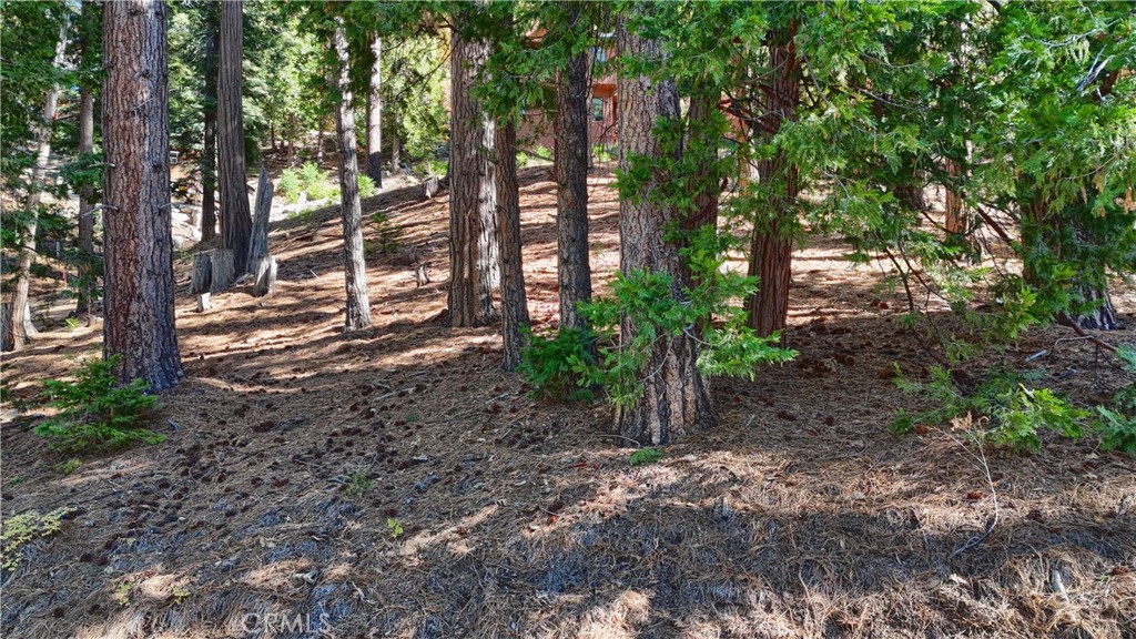 7232 Yosemite Park Property Photo 8