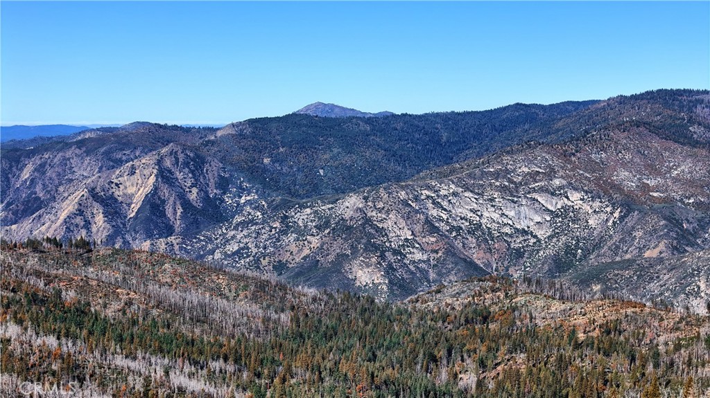 7232 Yosemite Park Property Photo 9