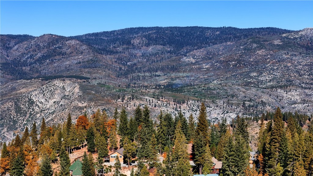 7232 Yosemite Park Property Photo 10