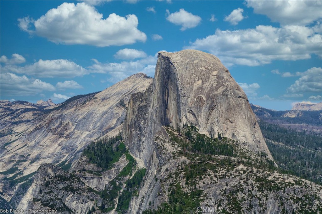 7232 Yosemite Park Property Photo 12