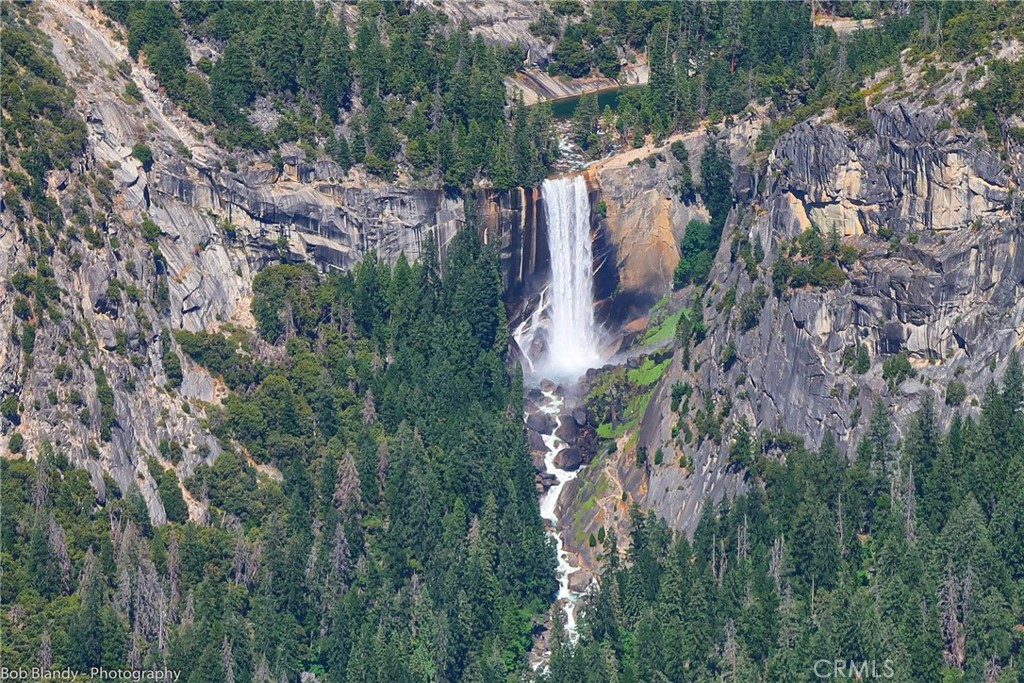 7232 Yosemite Park Property Photo 14