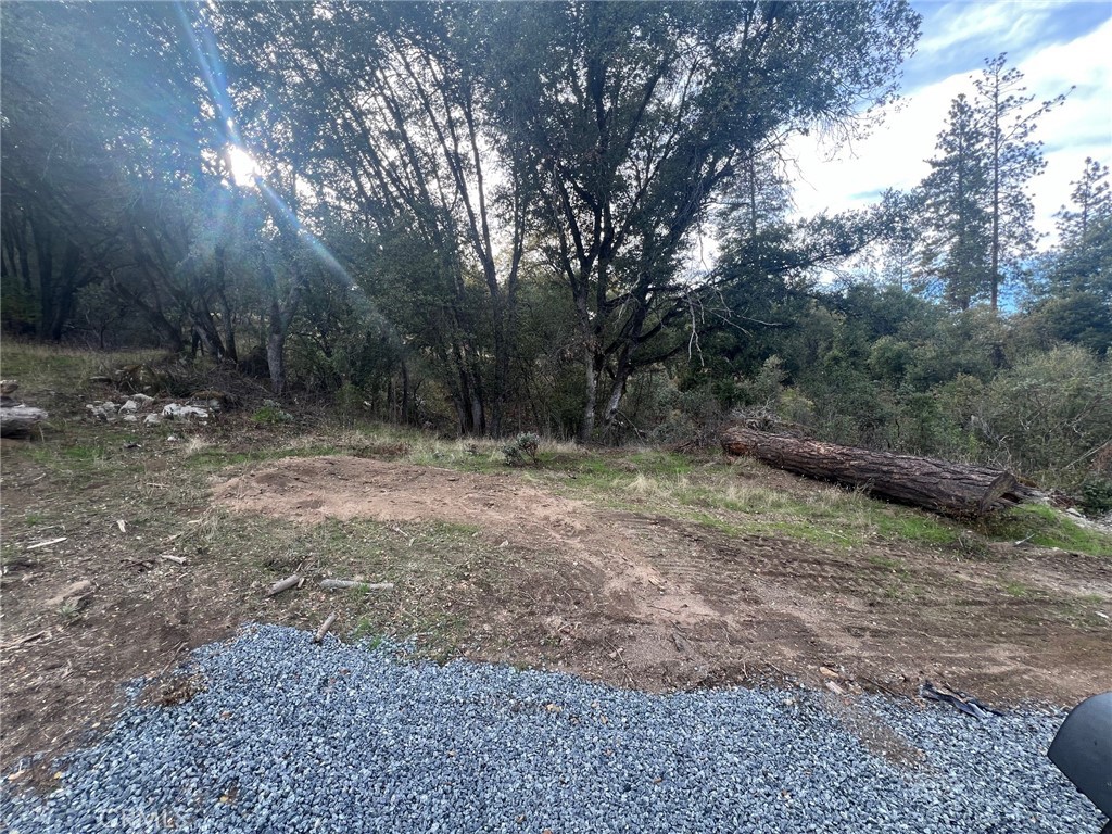 0 Hangtree Court Property Photo 8