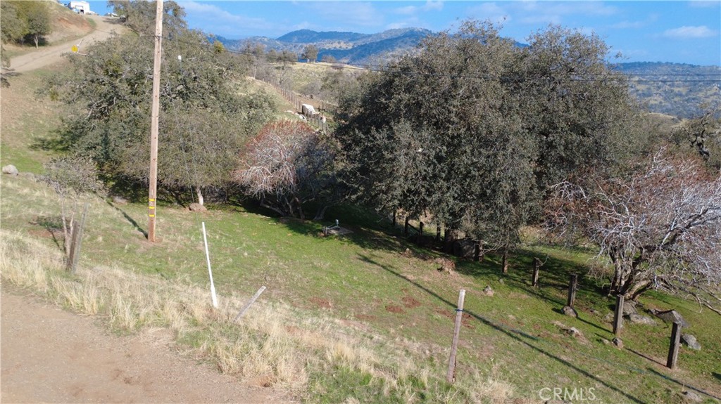 40885 Cornflower Property Photo 12