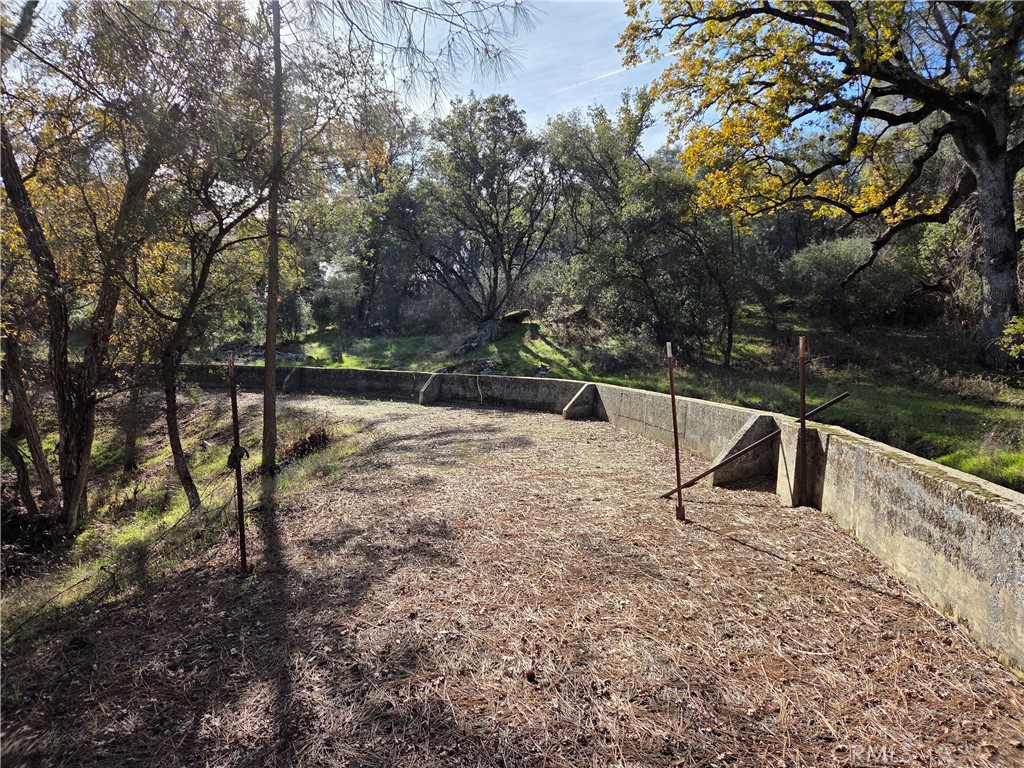 0 12.19 Ac Road 222 Property Photo 7