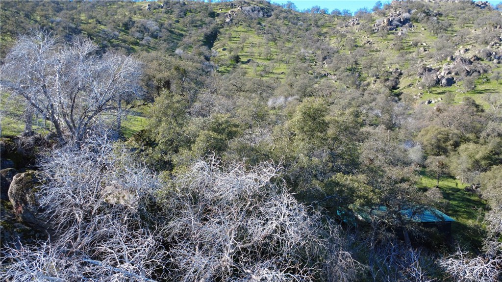 37087 Pebble Property Photo 11