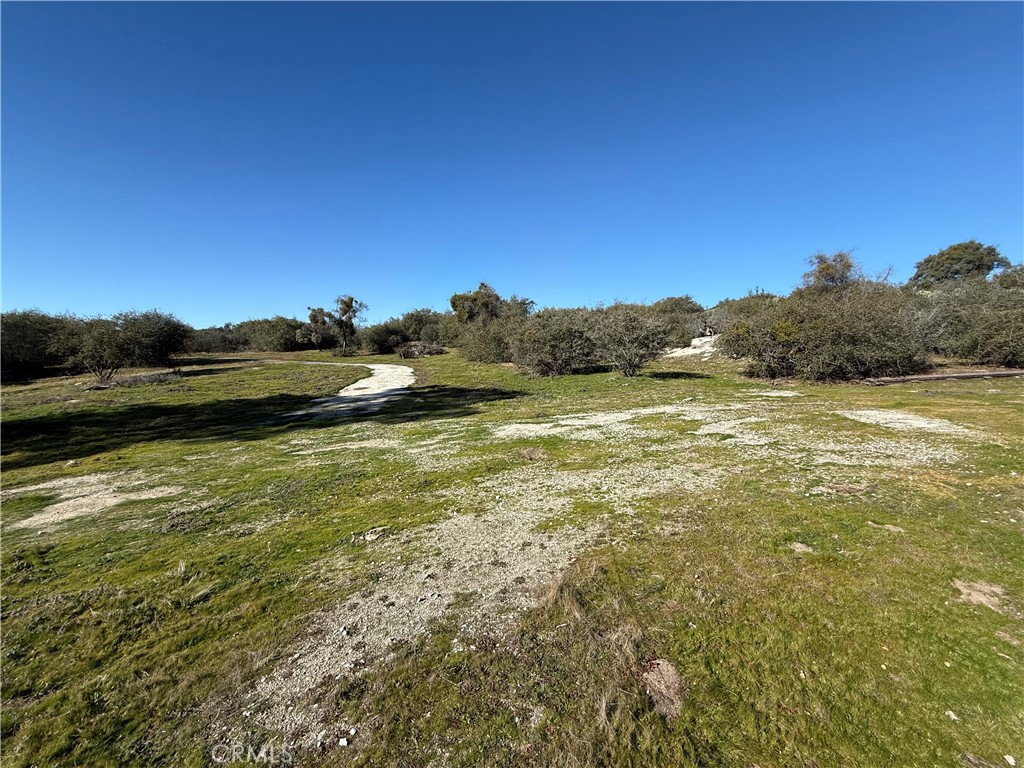 0 37.88 Ac Flying O Ranch Rd. Property Photo 3